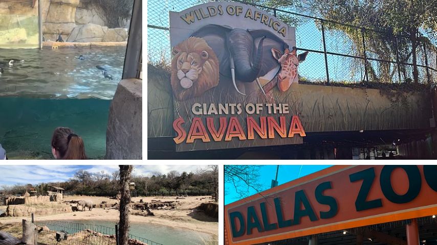 Aside from the Lancaster Urban Village, East Oak Cliff is also home to the Dallas Zoo