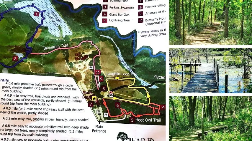 The Heard Natural Science Museum and Wildlife Sanctuary is one of McKinney's main attractions. Nature trails, gardens, live animals, plants and various other activities can be experienced here.