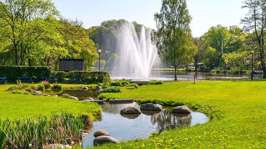 The Swedish Midsummer in Gothenburg is usually held in Slottsskogen city park